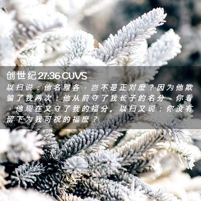 Picture 02 - 创 世 纪 27:36 CUVS - 以 扫 说 ： 他 名 雅 各 ， 岂 不 是 - Bible Verse Picture
