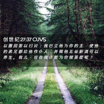 Picture 02 - 创 世 纪 27:37 CUVS - 以 撒 回 答 以 扫 说 ： 我 已 立 他 - Bible Verse Picture