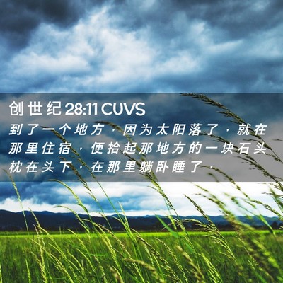 Picture 02 - 创 世 纪 28:11 CUVS - 到 了 一 个 地 方 ， 因 为 太 阳 落 - Bible Verse Picture