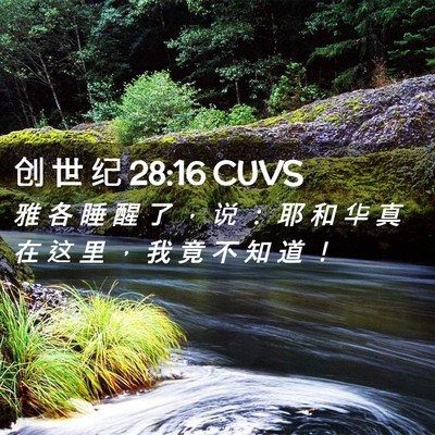 Picture 02 - 创 世 纪 28:16 CUVS - 雅 各 睡 醒 了 ， 说 ： 耶 和 华 真 - Bible Verse Picture