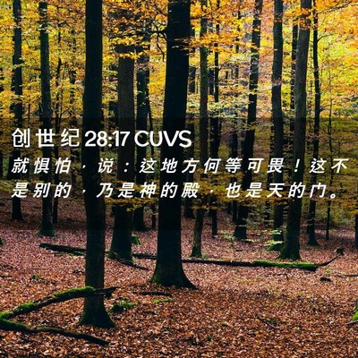 Picture 02 - 创 世 纪 28:17 CUVS - 就 惧 怕 ， 说 ： 这 地 方 何 等 可 - Bible Verse Picture