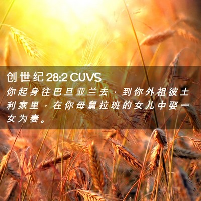 Picture 02 - 创 世 纪 28:2 CUVS - 你 起 身 往 巴 旦 亚 兰 去 ， 到 你 - Bible Verse Picture