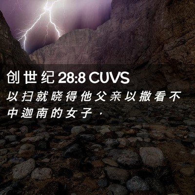 Picture 02 - 创 世 纪 28:8 CUVS - 以 扫 就 晓 得 他 父 亲 以 撒 看 不 - Bible Verse Picture