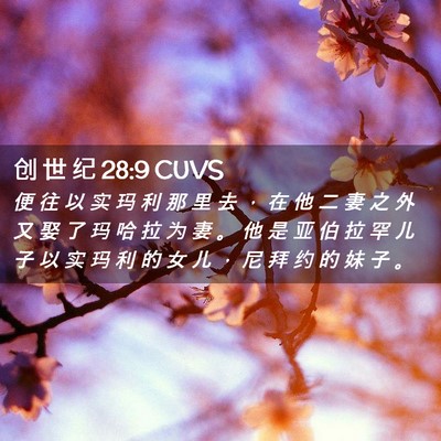 Picture 02 - 创 世 纪 28:9 CUVS - 便 往 以 实 玛 利 那 里 去 ， 在 他 - Bible Verse Picture