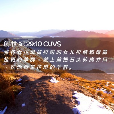 Picture 02 - 创 世 纪 29:10 CUVS - 雅 各 看 见 母 舅 拉 班 的 女 儿 拉 - Bible Verse Picture