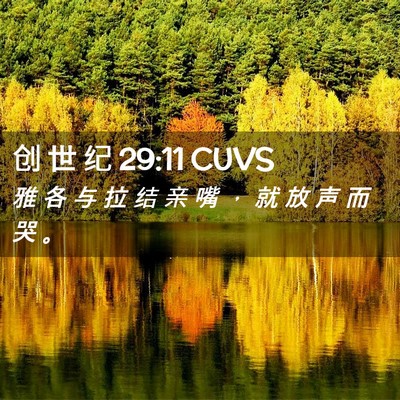Picture 02 - 创 世 纪 29:11 CUVS - 雅 各 与 拉 结 亲 嘴 ， 就 放 声 而 - Bible Verse Picture