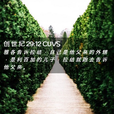 Picture 02 - 创 世 纪 29:12 CUVS - 雅 各 告 诉 拉 结 ， 自 己 是 他 父 - Bible Verse Picture