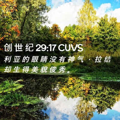 Picture 02 - 创 世 纪 29:17 CUVS - 利 亚 的 眼 睛 没 有 神 气 ， 拉 结 - Bible Verse Picture