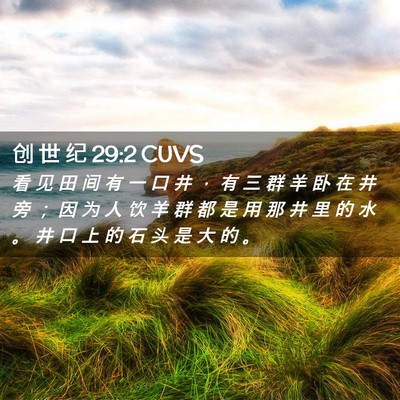 Picture 02 - 创 世 纪 29:2 CUVS - 看 见 田 间 有 一 口 井 ， 有 三 群 - Bible Verse Picture