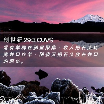 Picture 02 - 创 世 纪 29:3 CUVS - 常 有 羊 群 在 那 里 聚 集 ， 牧 人 - Bible Verse Picture