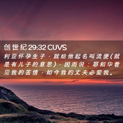 Picture 02 - 创 世 纪 29:32 CUVS - 利 亚 怀 孕 生 子 ， 就 给 他 起 名 - Bible Verse Picture