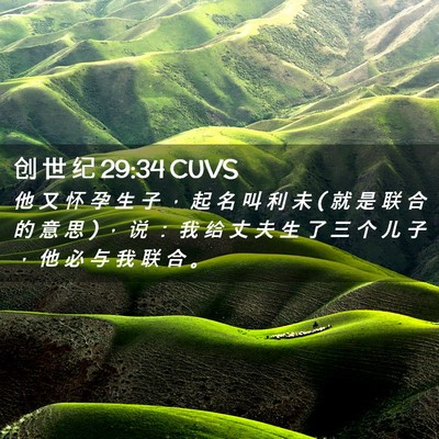 Picture 02 - 创 世 纪 29:34 CUVS - 他 又 怀 孕 生 子 ， 起 名 叫 利 未 ( - Bible Verse Picture