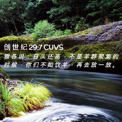 Picture 02 - 创 世 纪 29:7 CUVS - 雅 各 说 ： 日 头 还 高 ， 不 是 羊 - Bible Verse Picture
