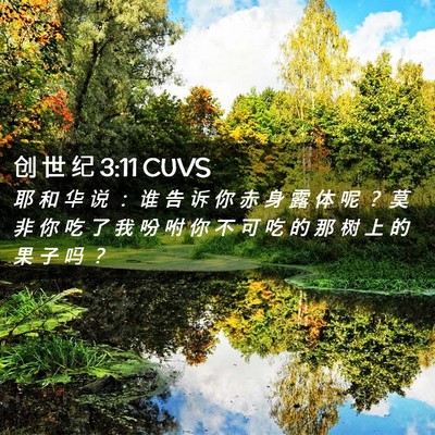 Picture 02 - 创 世 纪 3:11 CUVS - 耶 和 华 说 ： 谁 告 诉 你 赤 身 露 - Bible Verse Picture