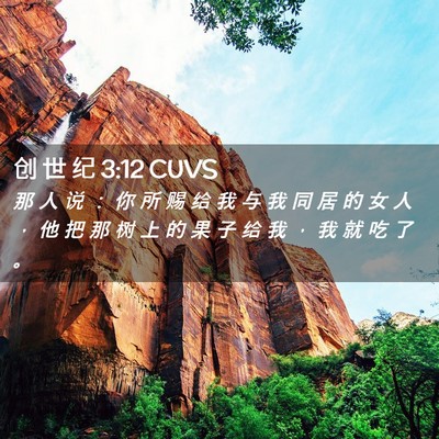 Picture 02 - 创 世 纪 3:12 CUVS - 那 人 说 ： 你 所 赐 给 我 与 我 同 - Bible Verse Picture