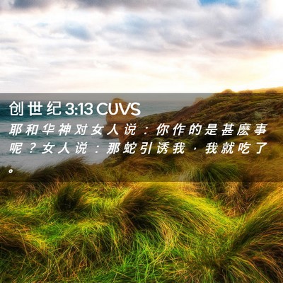 Picture 02 - 创 世 纪 3:13 CUVS - 耶 和 华 神 对 女 人 说 ： 你 作 的 - Bible Verse Picture