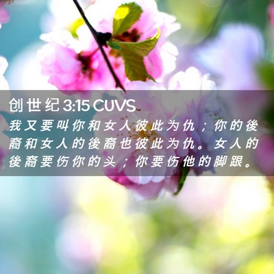 Picture 02 - 创 世 纪 3:15 CUVS - 我 又 要 叫 你 和 女 人 彼 此 为 仇 - Bible Verse Picture