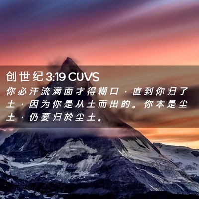 Picture 02 - 创 世 纪 3:19 CUVS - 你 必 汗 流 满 面 才 得 糊 口 ， 直 - Bible Verse Picture