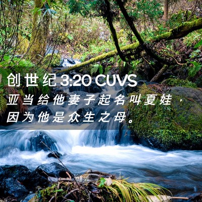 Picture 02 - 创 世 纪 3:20 CUVS - 亚 当 给 他 妻 子 起 名 叫 夏 娃 ， - Bible Verse Picture