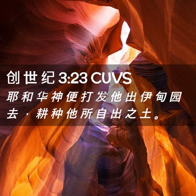 Picture 02 - 创 世 纪 3:23 CUVS - 耶 和 华 神 便 打 发 他 出 伊 甸 园 - Bible Verse Picture