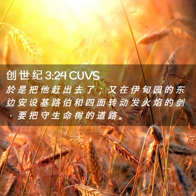 Picture 02 - 创 世 纪 3:24 CUVS - 於 是 把 他 赶 出 去 了 ； 又 在 伊 - Bible Verse Picture