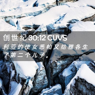 Picture 02 - 创 世 纪 30:12 CUVS - 利 亚 的 使 女 悉 帕 又 给 雅 各 生 - Bible Verse Picture