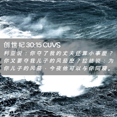 Picture 02 - 创 世 纪 30:15 CUVS - 利 亚 说 ： 你 夺 了 我 的 丈 夫 还 - Bible Verse Picture