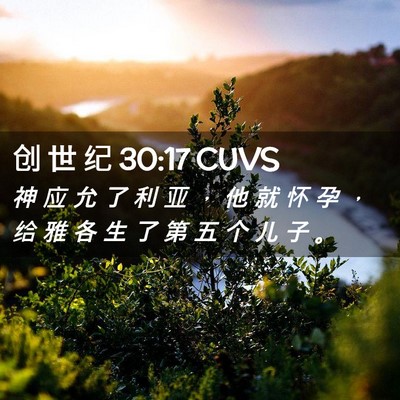 Picture 02 - 创 世 纪 30:17 CUVS - 神 应 允 了 利 亚 ， 他 就 怀 孕 ， - Bible Verse Picture
