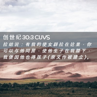 Picture 02 - 创 世 纪 30:3 CUVS - 拉 结 说 ： 有 我 的 使 女 辟 拉 在 - Bible Verse Picture