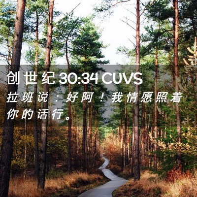 Picture 02 - 创 世 纪 30:34 CUVS - 拉 班 说 ： 好 阿 ！ 我 情 愿 照 着 - Bible Verse Picture