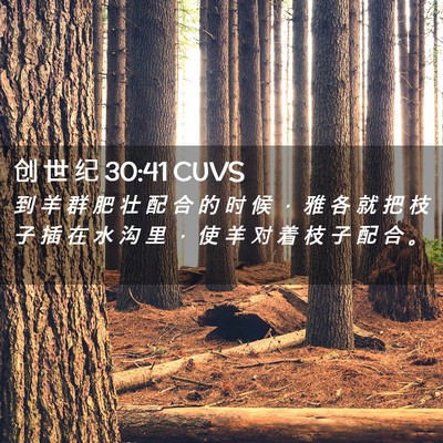 Picture 02 - 创 世 纪 30:41 CUVS - 到 羊 群 肥 壮 配 合 的 时 候 ， 雅 - Bible Verse Picture