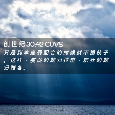 Picture 02 - 创 世 纪 30:42 CUVS - 只 是 到 羊 瘦 弱 配 合 的 时 候 就 - Bible Verse Picture