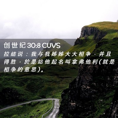 Picture 02 - 创 世 纪 30:8 CUVS - 拉 结 说 ： 我 与 我 姊 姊 大 大 相 - Bible Verse Picture