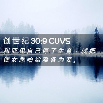 Picture 02 - 创 世 纪 30:9 CUVS - 利 亚 见 自 己 停 了 生 育 ， 就 把 - Bible Verse Picture