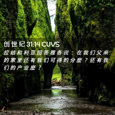 Picture 02 - 创 世 纪 31:14 CUVS - 拉 结 和 利 亚 回 答 雅 各 说 ： 在 - Bible Verse Picture