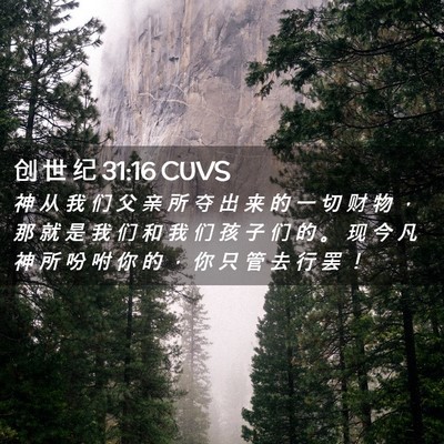 Picture 02 - 创 世 纪 31:16 CUVS - 神 从 我 们 父 亲 所 夺 出 来 的 一 - Bible Verse Picture