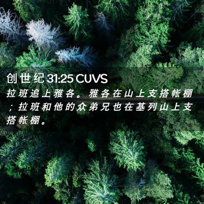 Picture 02 - 创 世 纪 31:25 CUVS - 拉 班 追 上 雅 各 。 雅 各 在 山 上 - Bible Verse Picture