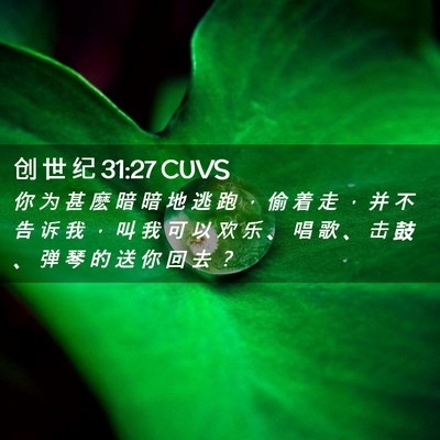 Picture 02 - 创 世 纪 31:27 CUVS - 你 为 甚 麽 暗 暗 地 逃 跑 ， 偷 着 - Bible Verse Picture