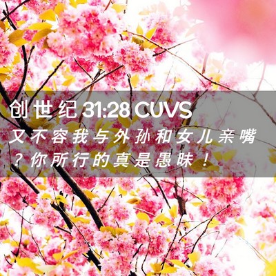 Picture 02 - 创 世 纪 31:28 CUVS - 又 不 容 我 与 外 孙 和 女 儿 亲 嘴 - Bible Verse Picture