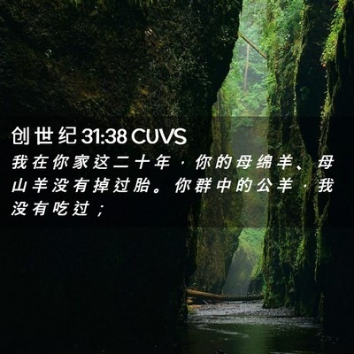 Picture 02 - 创 世 纪 31:38 CUVS - 我 在 你 家 这 二 十 年 ， 你 的 母 - Bible Verse Picture