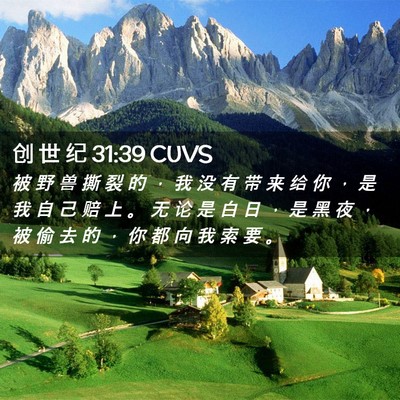 Picture 02 - 创 世 纪 31:39 CUVS - 被 野 兽 撕 裂 的 ， 我 没 有 带 来 - Bible Verse Picture