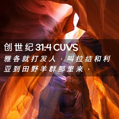 Picture 02 - 创 世 纪 31:4 CUVS - 雅 各 就 打 发 人 ， 叫 拉 结 和 利 - Bible Verse Picture