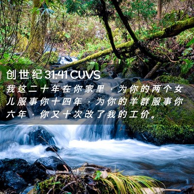 Picture 02 - 创 世 纪 31:41 CUVS - 我 这 二 十 年 在 你 家 里 ， 为 你 - Bible Verse Picture