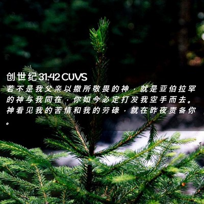 Picture 02 - 创 世 纪 31:42 CUVS - 若 不 是 我 父 亲 以 撒 所 敬 畏 的 - Bible Verse Picture