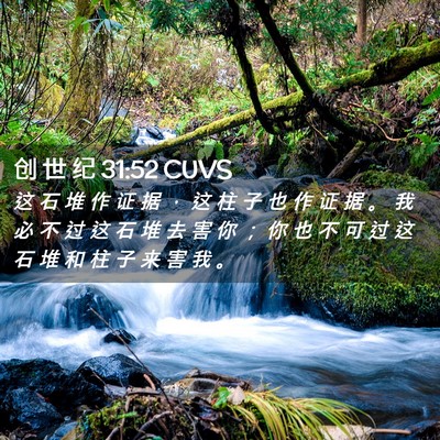 Picture 02 - 创 世 纪 31:52 CUVS - 这 石 堆 作 证 据 ， 这 柱 子 也 作 - Bible Verse Picture