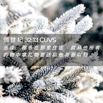 Picture 02 - 创 世 纪 32:13 CUVS - 当 夜 ， 雅 各 在 那 里 住 宿 ， 就 - Bible Verse Picture