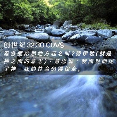 Picture 02 - 创 世 纪 32:30 CUVS - 雅 各 便 给 那 地 方 起 名 叫 ? 努 伊 - Bible Verse Picture