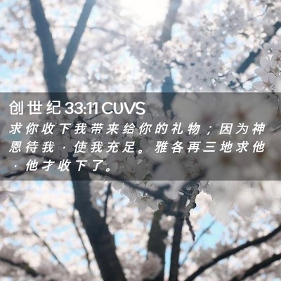Picture 02 - 创 世 纪 33:11 CUVS - 求 你 收 下 我 带 来 给 你 的 礼 物 - Bible Verse Picture