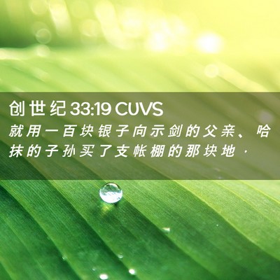 Picture 02 - 创 世 纪 33:19 CUVS - 就 用 一 百 块 银 子 向 示 剑 的 父 - Bible Verse Picture