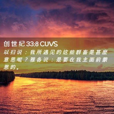 Picture 02 - 创 世 纪 33:8 CUVS - 以 扫 说 ： 我 所 遇 见 的 这 些 群 - Bible Verse Picture